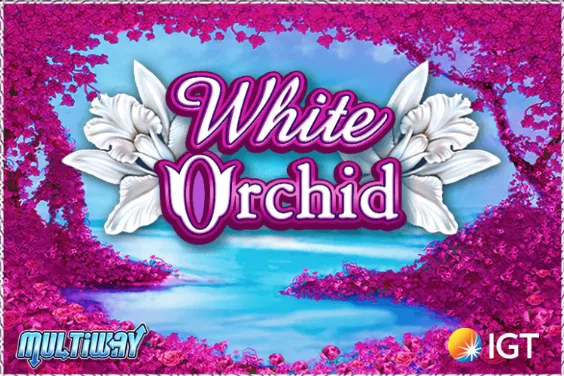 Logo del slot de White Orchid Logotipo White Orchid